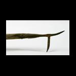 Whaling Artifact: Blubber Hand-Hook